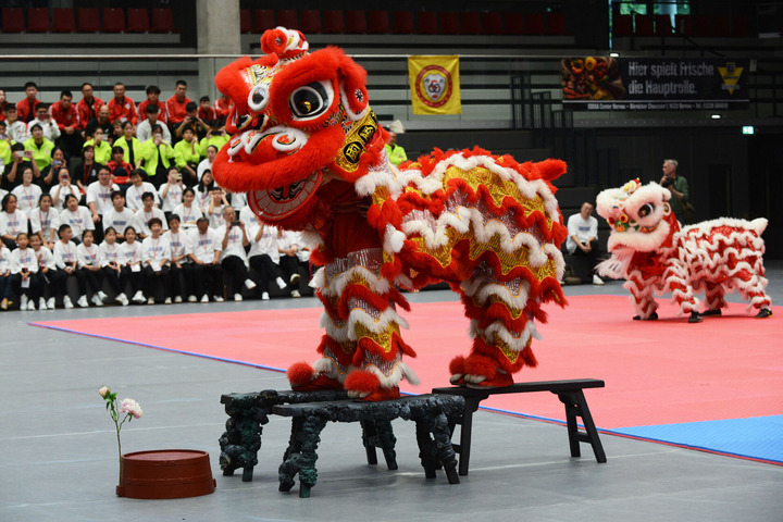 Ein chinesicher Löwentanz wird aufgeführt. Ein Rot-gelb-weißer großer Löwe ist zu sehen.