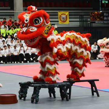Ein chinesicher Löwentanz wird aufgeführt. Ein Rot-gelb-weißer großer Löwe ist zu sehen.