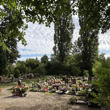 Das Bild zeigt mehrere Grabstätten auf dem neuen Friedhof 