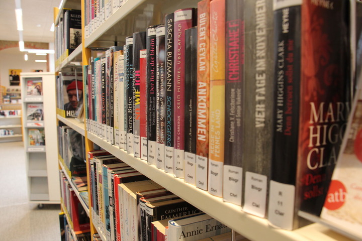 Das Bild zeigt eine Reihe an Büchern in der Bibliothek