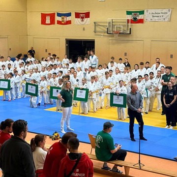 In einer Sporthalle stehen mehrere Kämpferinnen und Kämpfer in Formation 