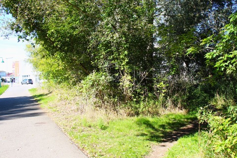 Auf der linken Seite des Bildes ist eine befahrene Straße zu sehen. Rechts geht es einen Trampelpfad entlang in den Wald.