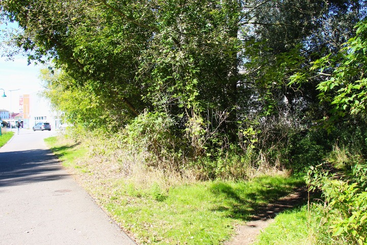 Auf der linken Seite des Bildes ist eine befahrene Straße zu sehen. Rechts geht es einen Trampelpfad entlang in den Wald. 